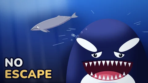 Official YouTube thumbnail for Why Orcas Are the Ocean’s Deadliest Hunters
